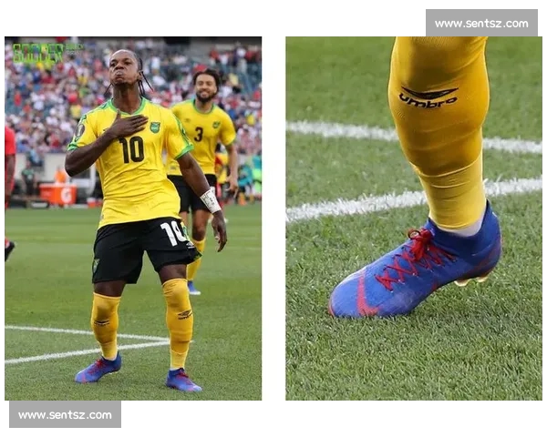 高清足球赛事直播APP下载指南畅享全球赛场精彩即时比分数据分析权威解说 - 副本 - 副本 - 副本 (17) - 副本 - 副本