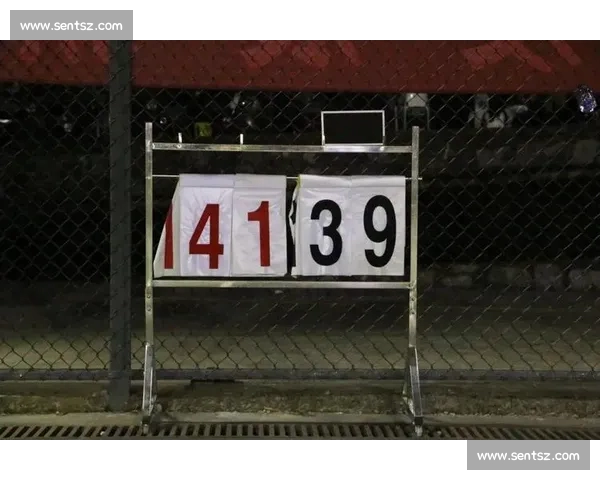 体育比分平台数据实时更新多赛事赛程分析与观赛互动一体化服务平台